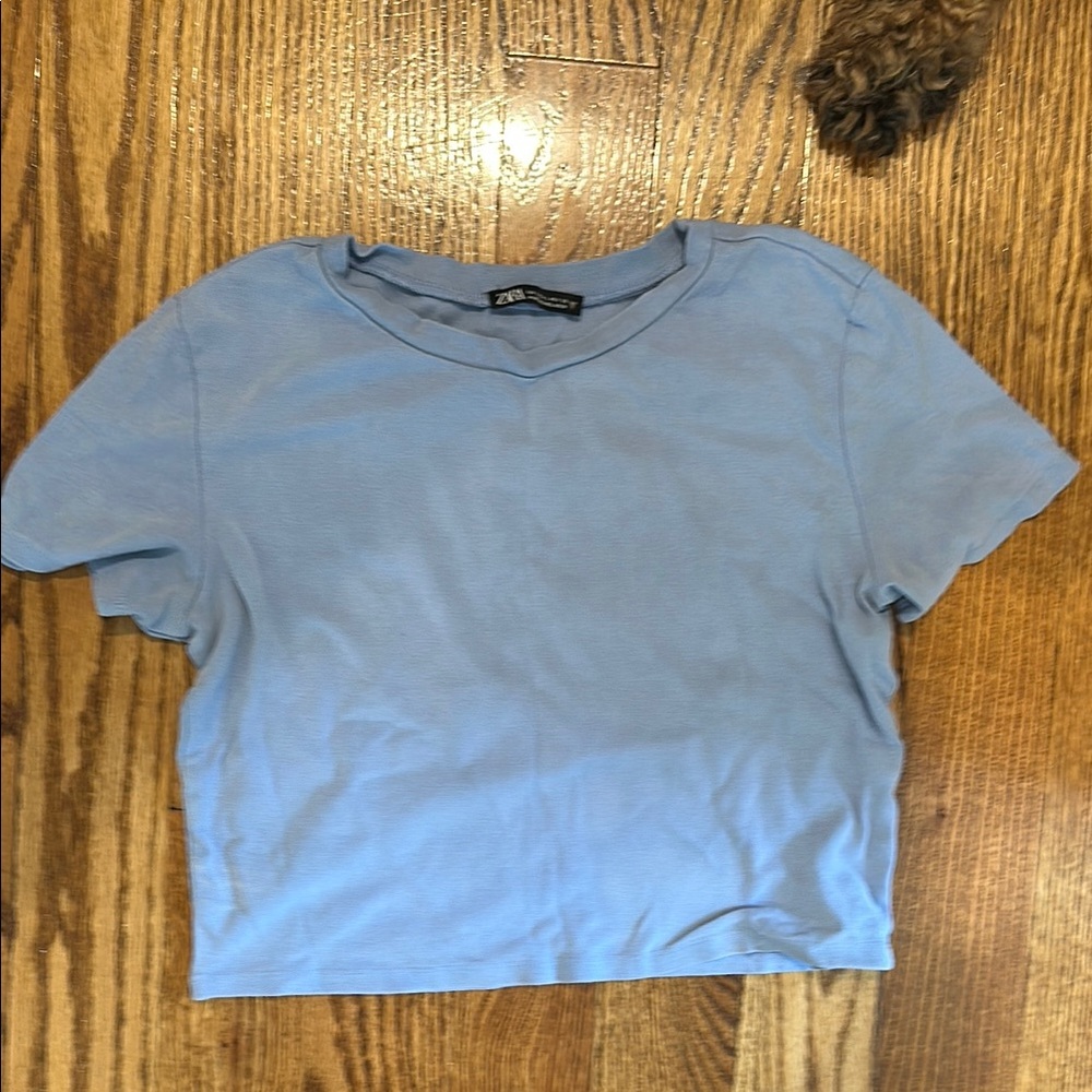 Zara Blue Crop Fitted Short Sleeve T-Shirt